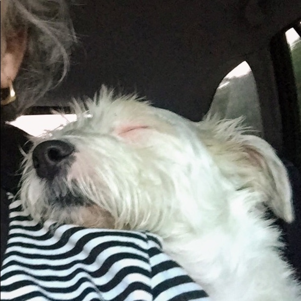 Meet your Posher, Ashley